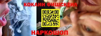 гашик Тверь