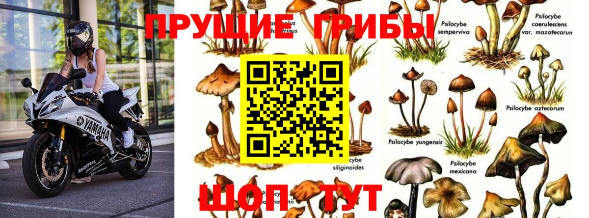 Галлюциногенные грибы Magic Shrooms Богданович