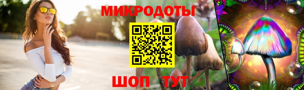 Богданович  Галлюциногенные грибы GOLDEN TEACHER  Галлюциногенные грибы Psilocybe  Вход с VPN 